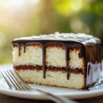 Slice of Texas Sheet Cake with chocolate glaze